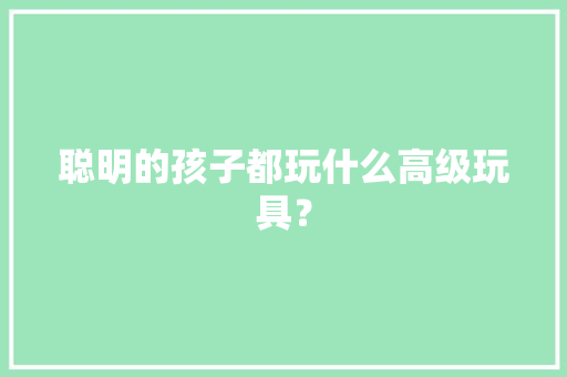 聪明的孩子都玩什么高级玩具？