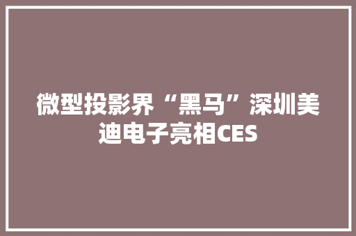 微型投影界“黑马”深圳美迪电子亮相CES