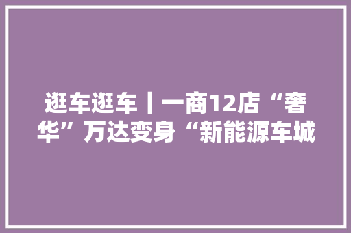 逛车逛车｜一商12店“奢华”万达变身“新能源车城”,万达自然美移动冷暖风机。