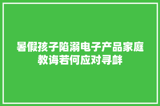 暑假孩子陷溺电子产品家庭教诲若何应对寻衅