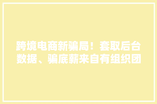 跨境电商新骗局！套取后台数据、骗底薪来自有组织团伙