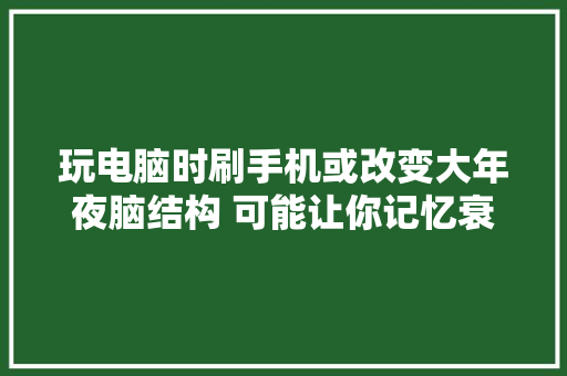 玩电脑时刷手机或改变大年夜脑结构 可能让你记忆衰退