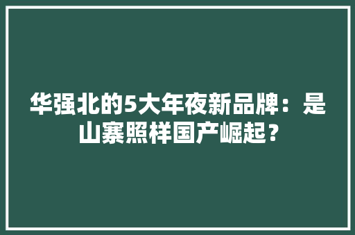 华强北的5大年夜新品牌：是山寨照样国产崛起？,手机游戏传奇。