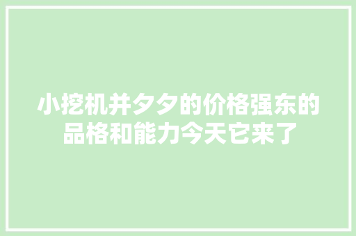 小挖机并夕夕的价格强东的品格和能力今天它来了