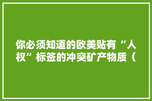 你必须知道的欧美贴有“人权”标签的冲突矿产物质（金属）治理