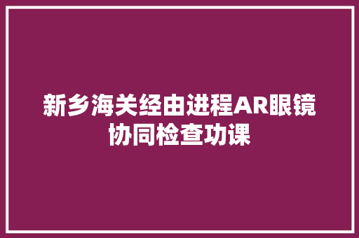 新乡海关经由进程AR眼镜协同检查功课,检讨书自我反省。