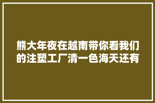 熊大年夜在越南带你看我们的注塑工厂清一色海天还有六轴机