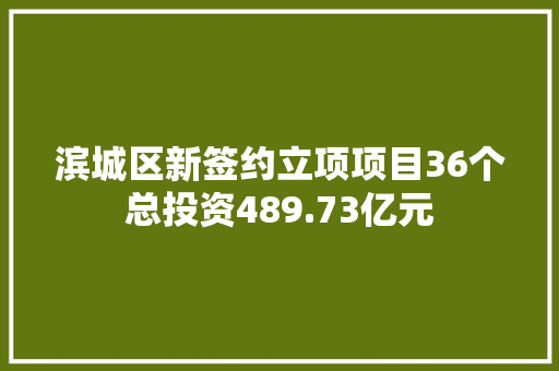 滨城区新签约立项项目36个总投资489.73亿元