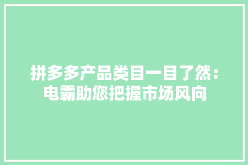 拼多多产品类目一目了然：电霸助您把握市场风向