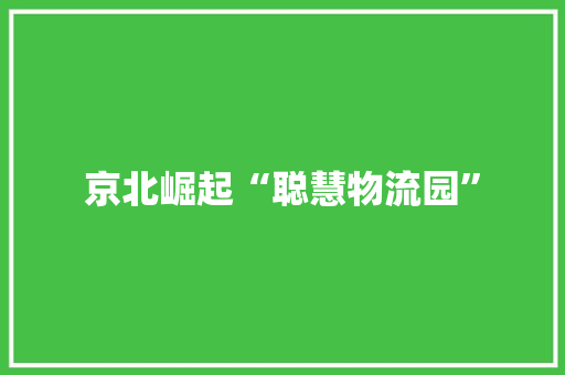 京北崛起“聪慧物流园”,园区注册公司优惠政策。