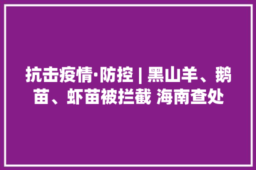 抗击疫情·防控 | 黑山羊、鹅苗、虾苗被拦截 海南查处3起违规运输活体动物入岛案