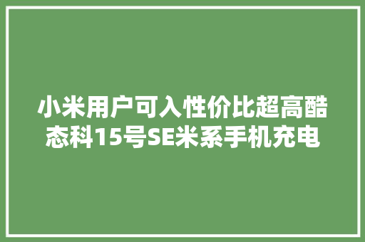 小米用户可入性价比超高酷态科15号SE米系手机充电兼容性测试