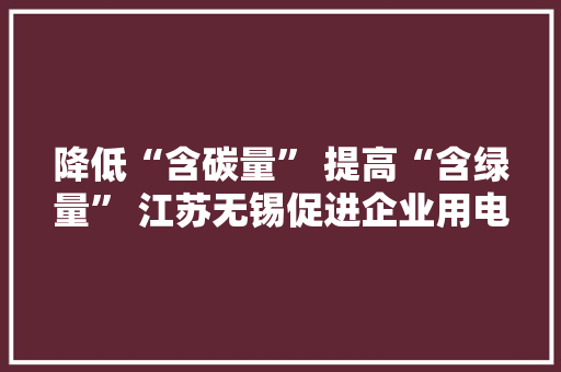 降低“含碳量” 提高“含绿量” 江苏无锡促进企业用电转型进级