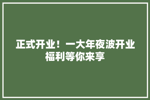 正式开业！一大年夜波开业福利等你来享