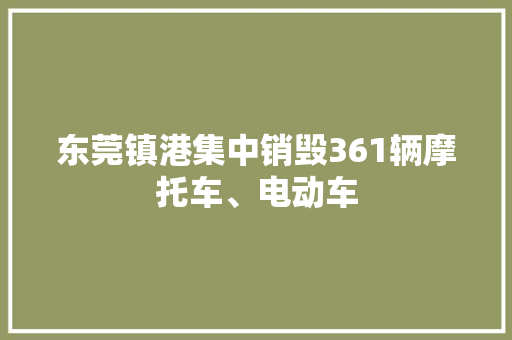 东莞镇港集中销毁361辆摩托车、电动车