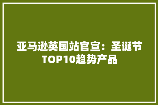 亚马逊英国站官宣：圣诞节TOP10趋势产品