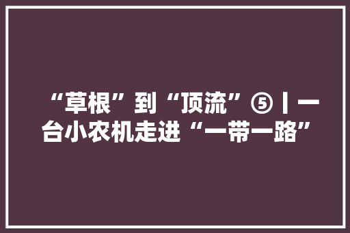 “草根”到“顶流”⑤丨一台小农机走进“一带一路”