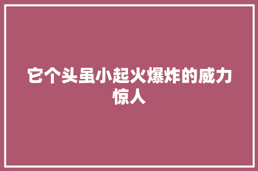 它个头虽小起火爆炸的威力惊人,电子邮箱怎么申请注册账号。