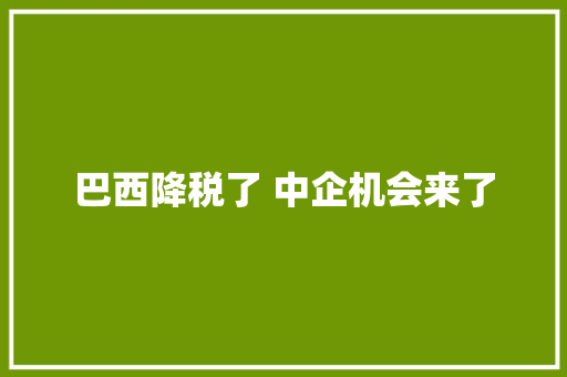 巴西降税了 中企机会来了