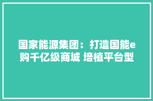 国家能源集团：打造国能e购千亿级商城 培植平台型科技示范企业