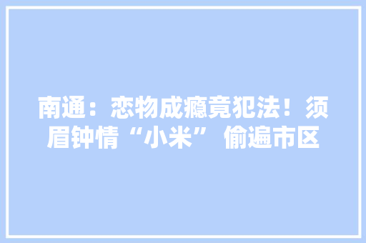 南通：恋物成瘾竟犯法！须眉钟情“小米” 偷遍市区各大年夜专卖店