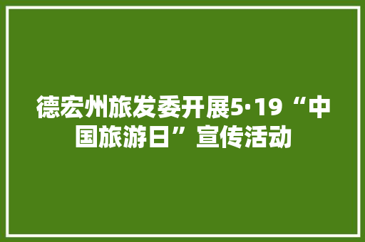 德宏州旅发委开展5·19“中国旅游日”宣传活动