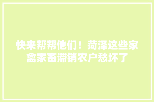 快来帮帮他们！菏泽这些家禽家畜滞销农户愁坏了