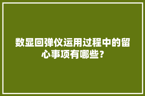 数显回弹仪运用过程中的留心事项有哪些？