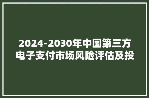 2024-2030年中国第三方电子支付市场风险评估及投资动向追踪申报,支付宝。