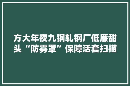 方大年夜九钢轧钢厂低廉甜头“防雾罩”保障活套扫描仪旗子暗记通顺