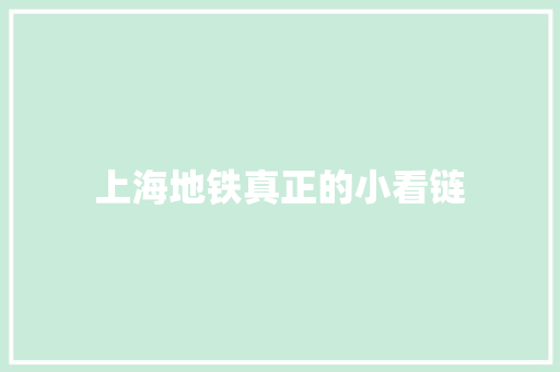 上海地铁真正的小看链
