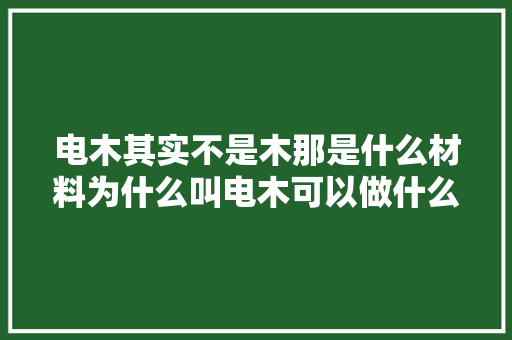 电木其实不是木那是什么材料为什么叫电木可以做什么