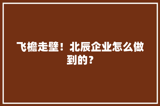 飞檐走壁！北辰企业怎么做到的？