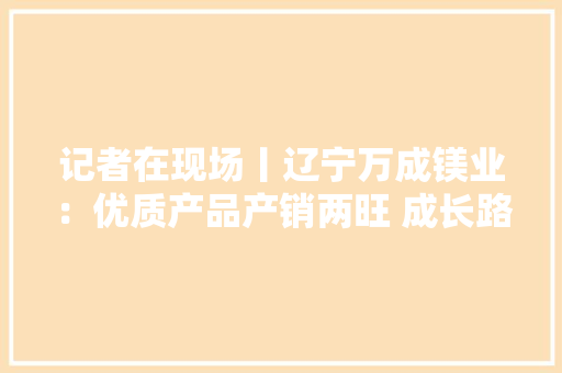 记者在现场丨辽宁万成镁业：优质产品产销两旺 成长路上蹄疾步稳