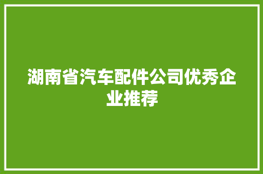 湖南省汽车配件公司优秀企业推荐