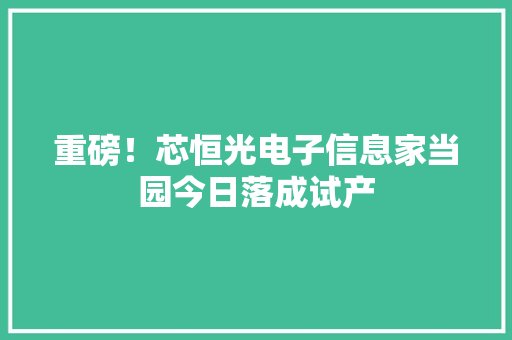 重磅！芯恒光电子信息家当园今日落成试产