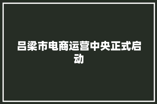 吕梁市电商运营中央正式启动