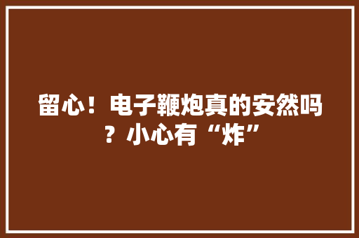 留心！电子鞭炮真的安然吗？小心有“炸”