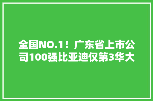 全国NO.1！广东省上市公司100强比亚迪仅第3华大年夜基因第98,韶光芯材科技有限公司。