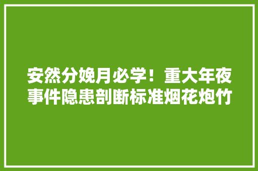 安然分娩月必学！重大年夜事件隐患剖断标准烟花炮竹（附解读+下载链接）