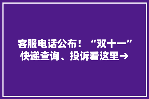 客服电话公布！“双十一”快递查询、投诉看这里→