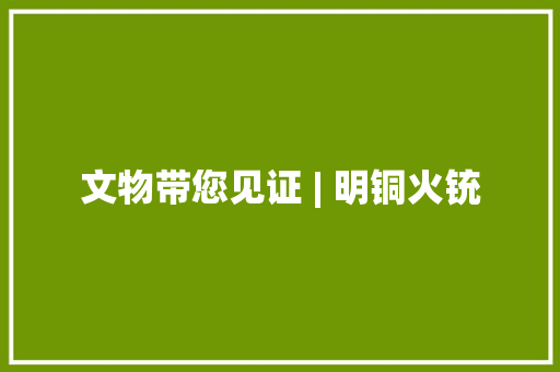 文物带您见证 | 明铜火铳,火器营。