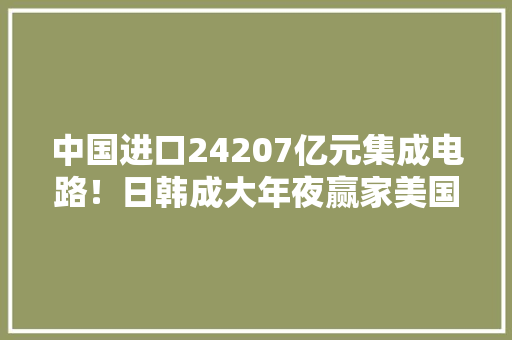 中国进口24207亿元集成电路！日韩成大年夜赢家美国允许供货中企