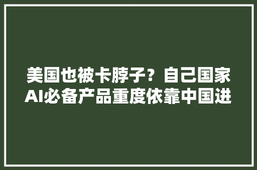 美国也被卡脖子？自己国家AI必备产品重度依靠中国进口