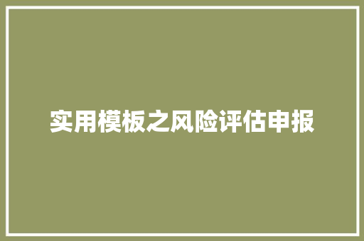 实用模板之风险评估申报