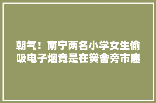 朝气！南宁两名小学女生偷吸电子烟竟是在黉舍旁市廛买的！