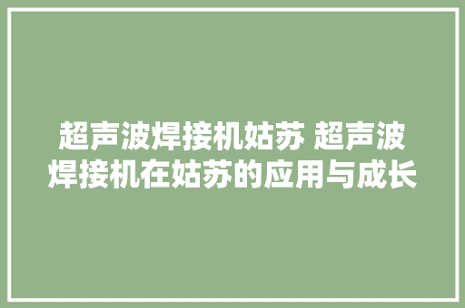 超声波焊接机姑苏 超声波焊接机在姑苏的应用与成长