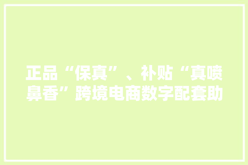 正品“保真”、补贴“真喷鼻香”跨境电商数字配套助力“新消费”,电商是做什么的。