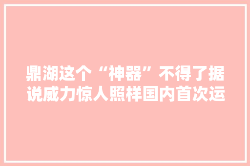 鼎湖这个“神器”不得了据说威力惊人照样国内首次运用！