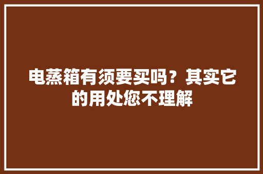 电蒸箱有须要买吗？其实它的用处您不理解